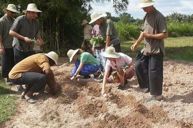 Full Day Siem Reap Farm Tour with Cooking Class and Monk Blessing - Who Will Love This Tour?