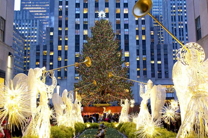 Full-Day Sightseeing Tour in New York City - Pricing Structure and Cancellation Policy