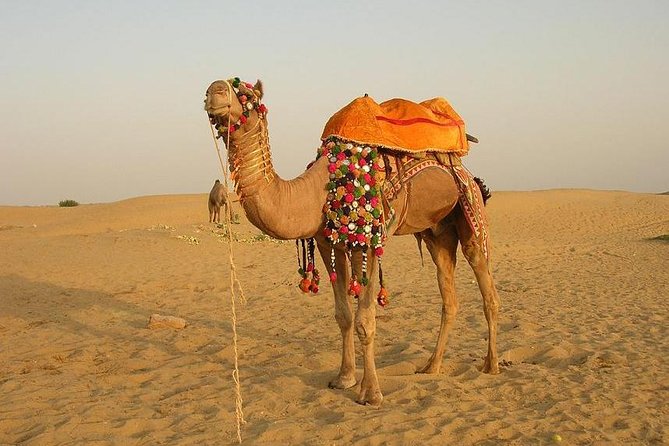 Full Day Sightseeing Tour of Jaisalmer - Taking in Rajasthani History