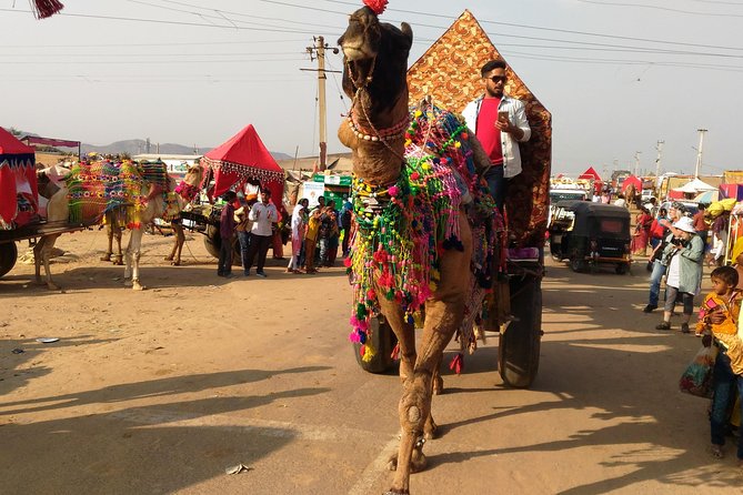 Full Day Sightseeing Tour of Jaisalmer - Tour Logistics and Additional Information