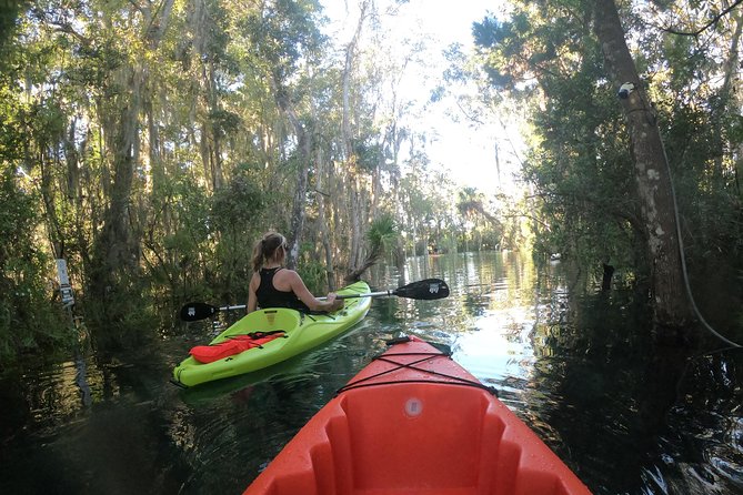 Full Day Single Kayak Rental In Crystal River - Booking and Cancellation