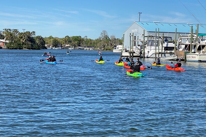 Full Day Single Kayak Rental In Crystal River - Safety and Skill Level