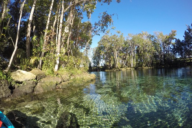 Full Day Single Kayak Rental In Crystal River - Equipment Provided