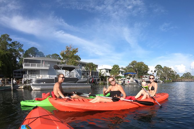 Full Day Single Kayak Rental In Crystal River - Swim With Manatees
