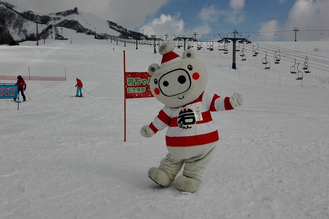 Full Day Ski Lesson (6 Hours) in Yuzawa, Japan - Whats Included in the Lesson
