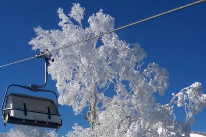 Full Day Ski Lesson (6 Hours) in Yuzawa, Japan - Ski Resort and Surrounding Area