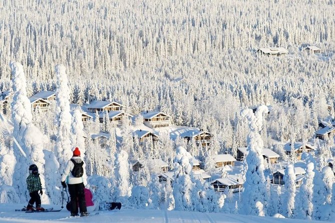 Full Day Skiing Adventure - Suitability for All Skill Levels