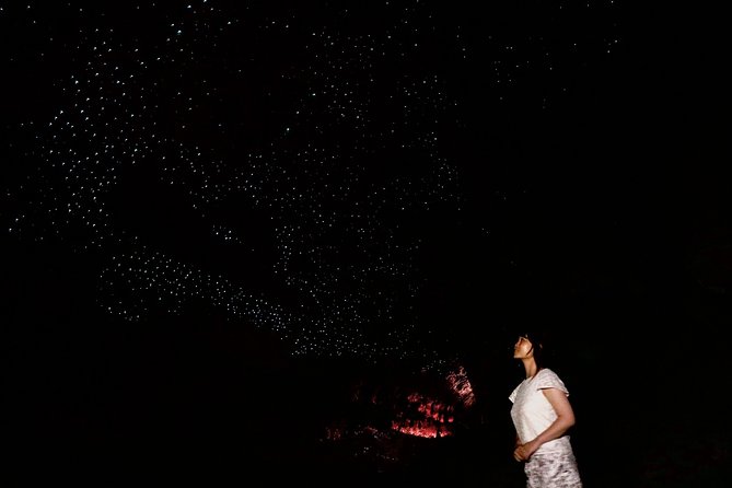 Full-Day Small-Group Glowworm Exploration Tour in New Zealand - Frequently Asked Questions