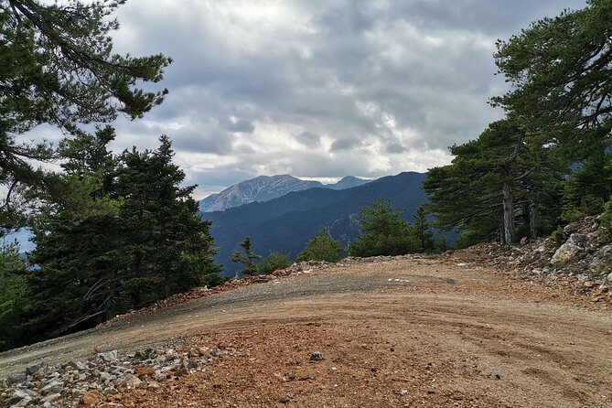 Full-Day Small-Group Hiking and Cycling Tour From Taygetos to Sparti - Health and Safety Requirements