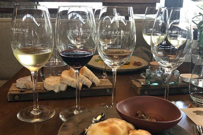 Full-Day Small-Group Mendoza Wine Tasting Tour With Lunch or Dinner - Tour Overview and Highlights