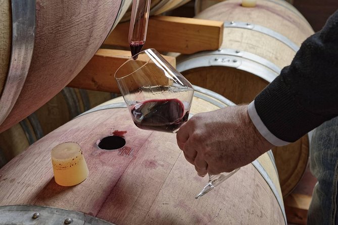 Full Day Small Group Pompeii Tour From Sorrento With Local Wine Tasting - Wine Tasting Experience