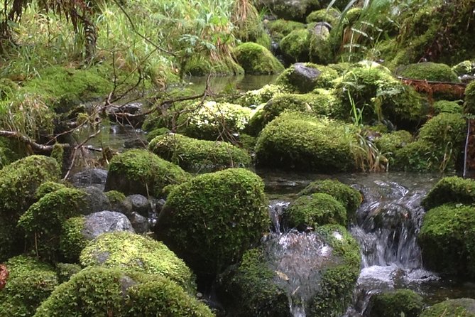Full-Day Small-Group Routeburn Valley Walk - Trail Description