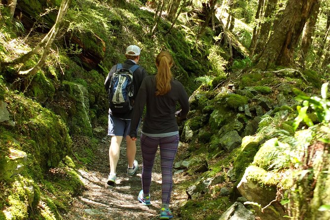 Full-Day Small-Group Routeburn Valley Walk - Difficulty and Fitness Level