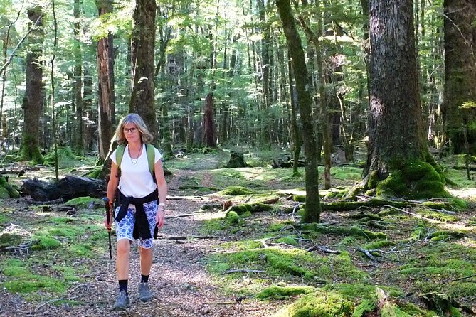Full-Day Small-Group Routeburn Valley Walk - Booking and Availability