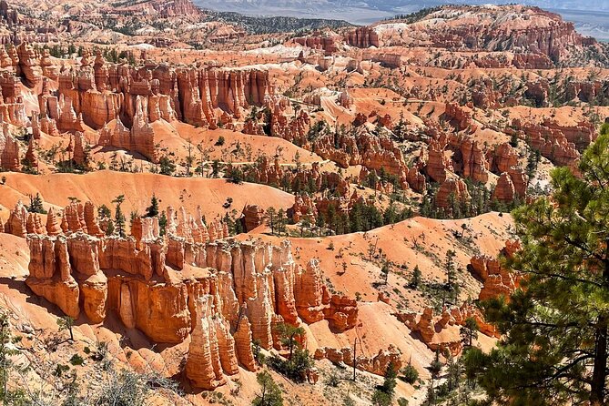 Full-Day Small Group Tour in Bryce Canyon - Ratings and Reviews