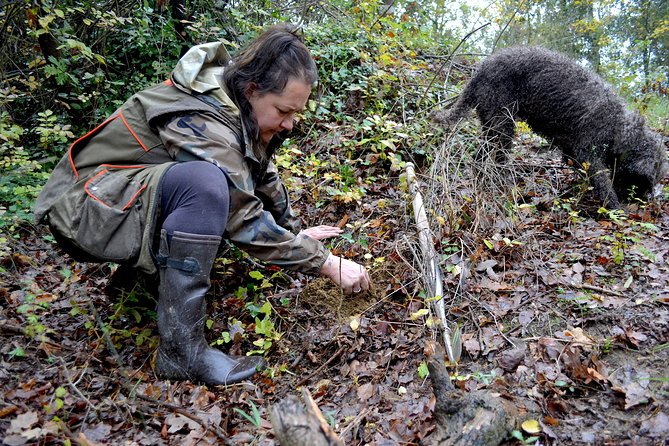 Full-Day Small-Group Truffle Hunting in Tuscany With Lunch - Truffle-Based Lunch
