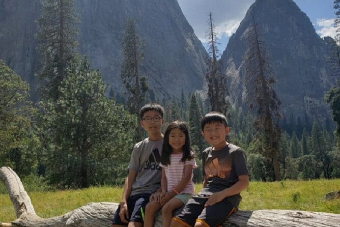 Full-Day Small Group Yosemite & Glacier Point Tour Including Hotel Pickup - Accessibility and Requirements