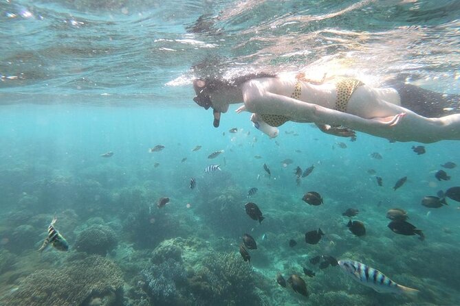 Full Day Snorkeling Activity at Bali Blue Lagoon - Accessibility Information