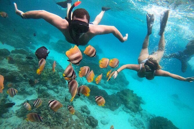 Full Day Snorkeling Activity at Bali Blue Lagoon - Reviews and Ratings