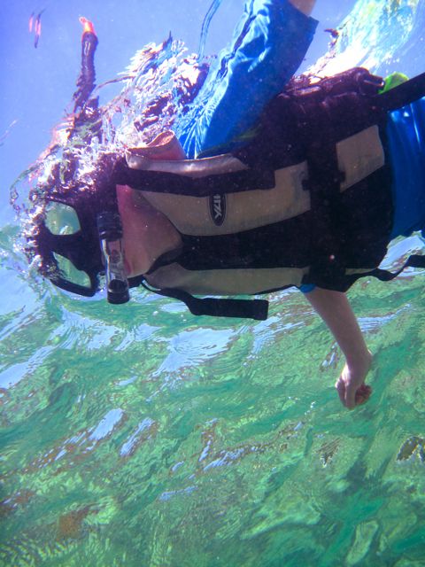 Full-Day Snorkeling Adventure From Kota Kinabalu - Meeting Point and Logistics