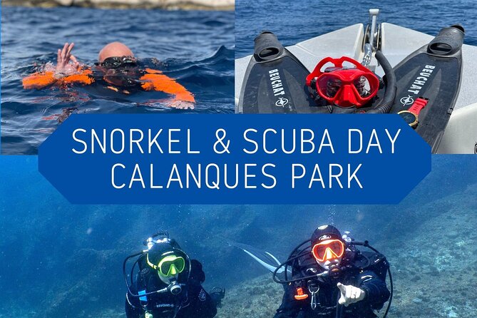 Full-Day Snorkeling and Guided Dive in the Calanques National Park From Marseille - Snorkeling Along the Rugged Coastline