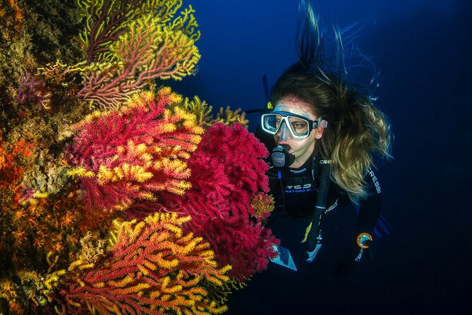Full-Day Snorkeling and Guided Dive in the Calanques National Park From Marseille - Meeting Point and Briefing