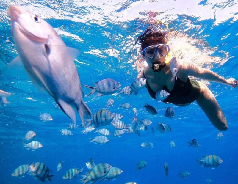 Full-Day Snorkeling and Island Tour With Luxury Cruise - Utopia Island Snorkeling Adventure