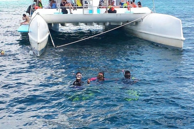 Full Day: Snorkeling in Catalina Island, With Lunch - Whats Included in the Experience