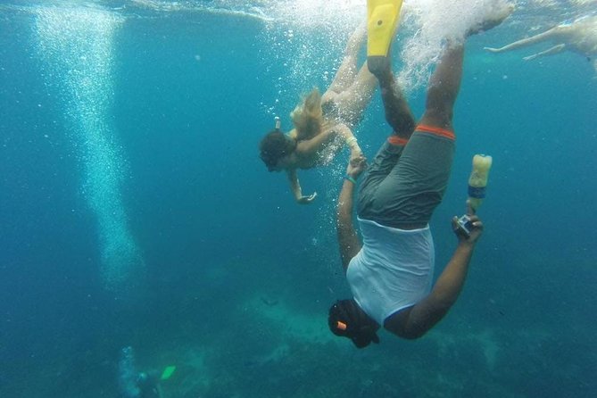 Full Day: Snorkeling in Catalina Island, With Lunch - Important Tour Considerations