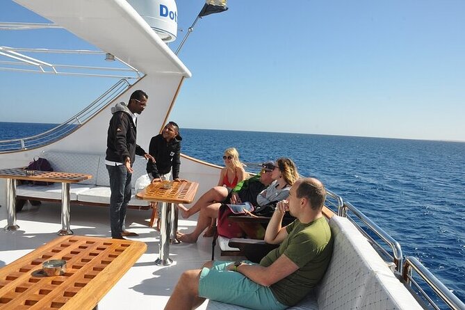 Full Day Snorkeling in Hurghada Dolphin House - Overview and Experience