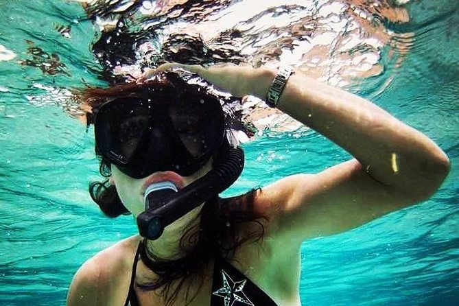 Full-Day Snorkeling Rental Package - Customer Feedback and Ratings