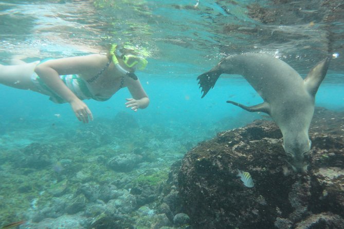 Full-Day Snorkeling Rental Package - Important Information