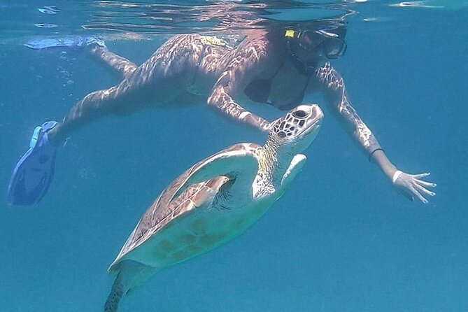 Full-Day Snorkeling Tour to Culebra Island With Lunch - Guest Reviews and Feedback