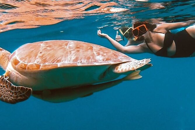 Full-Day Snorkeling Tour to Culebra Island With Lunch - Snorkeling at Flamenco Beach