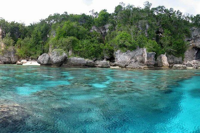 Full Day Snorkelling Cruise in Tranquility Island Resort - Key Points