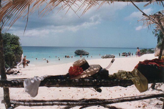 Full Day Snorkelling Cruise in Tranquility Island Resort - Practical Tips for Travelers