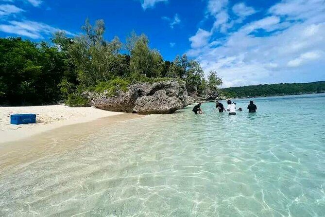 Full Day Snorkelling Cruise in Tranquility Island Resort - Final Thoughts