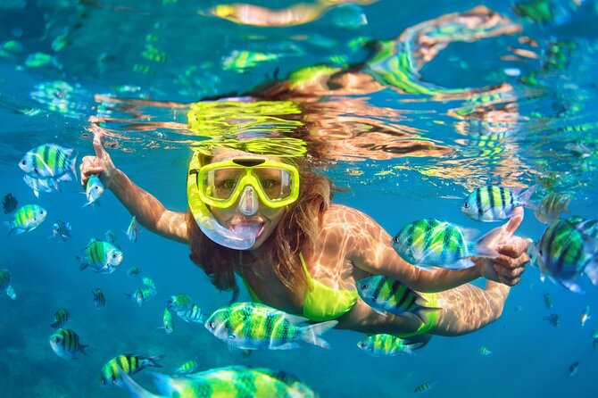Full Day Snorkelling Tour to Phi Phi Islands From Krabi - Key Points