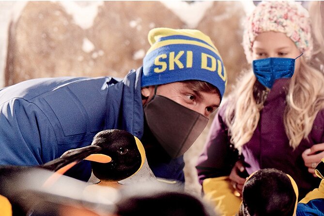 Full-day Snow Ski in Dubai - Booking and Pricing Information
