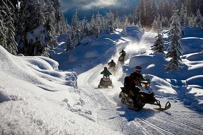 Full Day Snowmobile Safari - Whats Included in the Tour