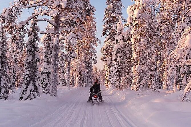 Full Day Snowmobile Safari - Additional Information