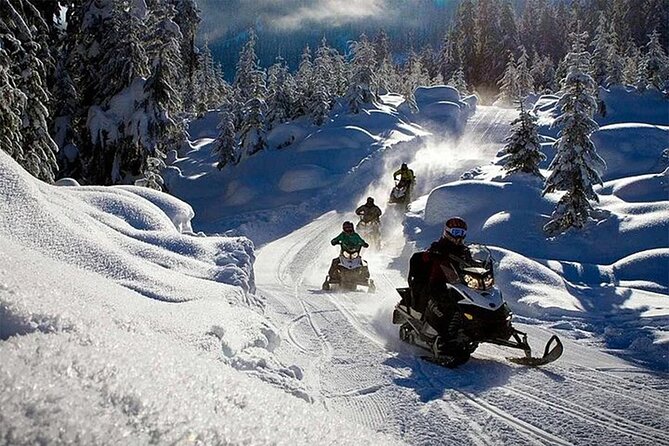 Full Day Snowmobile Safari - Requirements for Participation