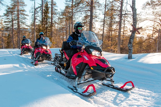 Full Day Snowmobile Safari Into the Lappish Wilderness in Rovaniemi - Free Cancellation and Group Size