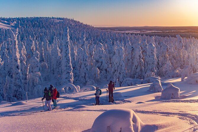 Full-Day Snowshoeing Adventure in Amethyst Mine Pyhä Luosto - Pricing and Cancellation Policy