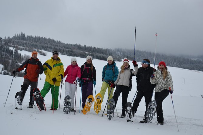 Full-Day Snowshoeing in High Tatras With Local Mountain Guide From Poprad - Beginner Assistance