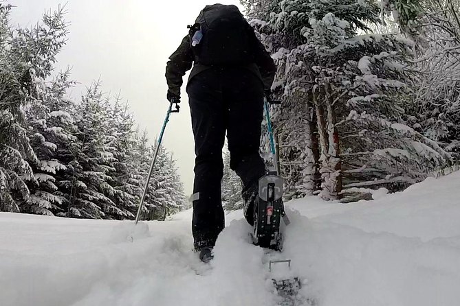 Full-Day Snowshoeing in High Tatras With Local Mountain Guide From Poprad - Traveler Photos