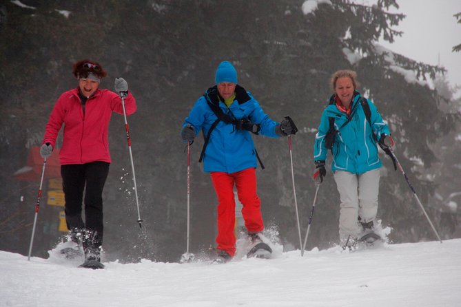 Full-Day Snowshoeing in High Tatras With Local Mountain Guide From Poprad - Pricing Information