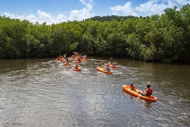 Full Day SoCoHo - Historic Sites - Mangrove Kayak & Reef Snorkeling - Inclusions and Pricing