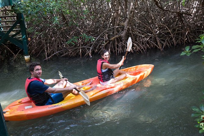 Full Day SoCoHo - Historic Sites - Mangrove Kayak & Reef Snorkeling - Health and Safety Considerations
