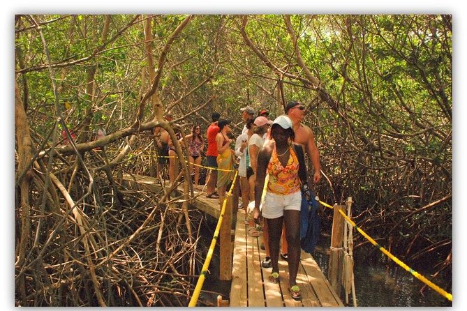 Full Day SoCoHo - Historic Sites - Mangrove Kayak & Reef Snorkeling - Participant Reviews